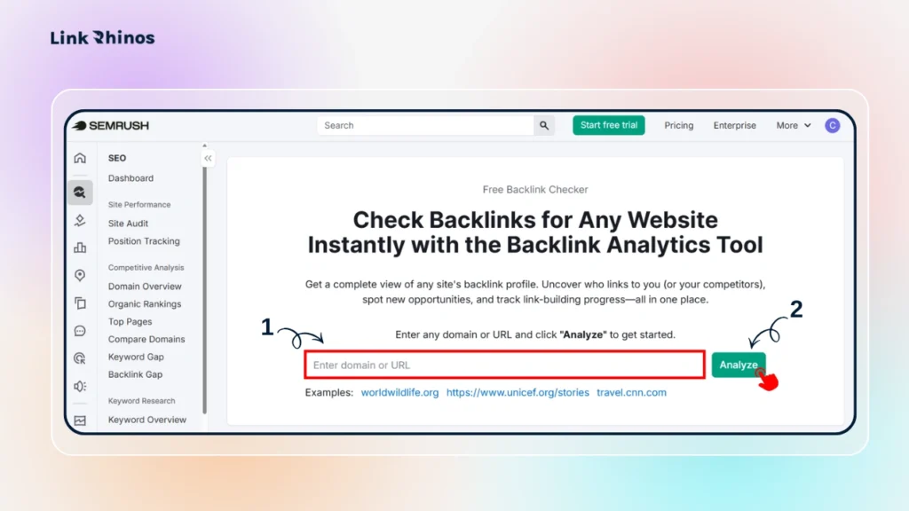 Enter your domain and click “Analyze.”